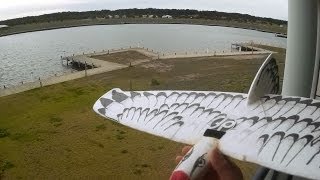 flying the alula off my balcony [upl. by Lianna]