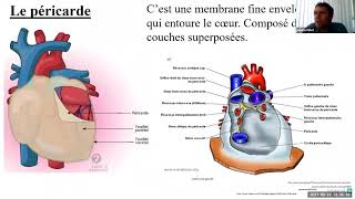 Le Système Cardiovasculaire  Cours Complet [upl. by Ariahs]