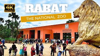 RABAT MOROCCO the national zoological garden  walking tour 4K UHD  2024 [upl. by Judi973]