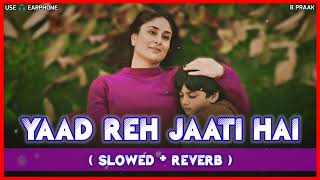 Bas yaad Rah jaati hai ❤️slowed  Reverb  Lofi song  B Praak New song 2024 lofi viralvideo [upl. by Fosque461]