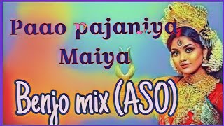 Paao paijaniya Maiya Benjo mix music [upl. by Florette233]