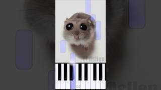 Sad Hamster Violin Meme  Piano Tutorial [upl. by Tegdig299]