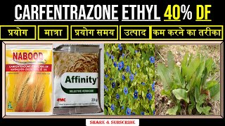 Carfentrazone Ethyl 40 DF  प्रयोग  मात्रा  किन घासों के लिए  कार्य करने का तरीका Carfentrazone [upl. by Annwahsal]