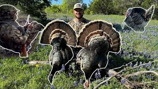 Turkey Hunting Texas Hill Country catch Clean Cook Turkey GIZZARDS [upl. by Cris]