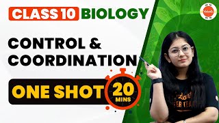 SSC Biology Chapter 6  Diffusion Imbibition Osmosis amp Transpiration  Fahad Sir [upl. by Nawk]