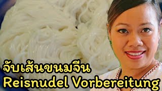 Thai Reisnudel Vorbereitung จับเส้นขนมจีน Khanom Jeen  thailändisch​ Kochen  Asiatische Küche [upl. by Eleonore]