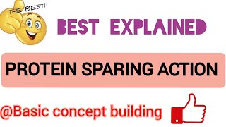 Protein sparing action  biochemistry  Basic concept building [upl. by Riccardo]