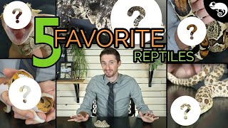 Top 5 Pet Reptiles  Clints Reptiles [upl. by Hyo]