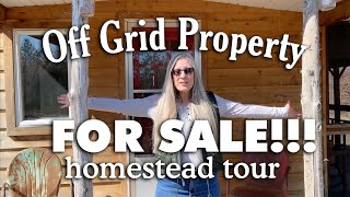 Off Grid Property amp Cabins FOR SALE Homestead Tour [upl. by Erhard69]