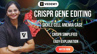 CRISPR Gene Editing  Sickle Cell Anemia Case  Simplied Explanation  Unit 12  Applied Biology [upl. by Codding]