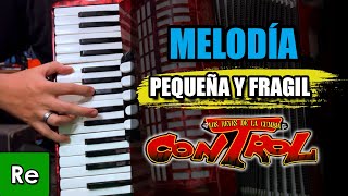 Pequeña y Fragil  TUTORIAL Acordeon de Teclas PARTE 1 [upl. by Guinn]