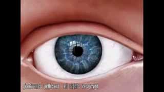 PHOTOSHOP  Realistic Eye [upl. by Arytas]