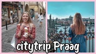 CITYTRIP PRAAG TOERIST UITHANGEN NAAR DE ZOO amp SHOPPEN [upl. by Carrew108]