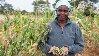 Food For Life  Ecological Farming in Kenya [upl. by Imik]