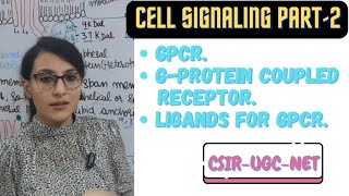 GProtein Coupled Receptor  GPCR Cell Signaling [upl. by Yroggerg266]