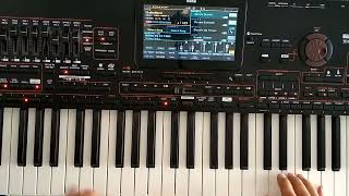 The Kolors  Italo Disco Instrumental Danekoo1 amp Korg Pa4x Dance [upl. by Ylrebma]