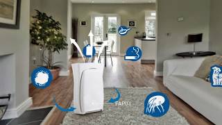 3M Filtrete Room Air Purifiers [upl. by Schonfield703]