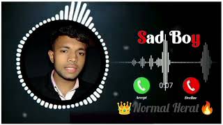 tiktok sad background music 2024 👑Normal Herat🔥 new tiktok sad😭 background [upl. by Snilloc910]