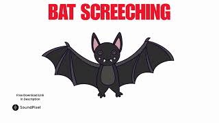 Bat Screeching Noise Sound Effects  Free Download Copyright Free [upl. by Puduns]