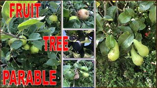 5 FRUIT TREE PARABLE The Lord likens end times with the phases of the fruit tree… [upl. by Nawram]