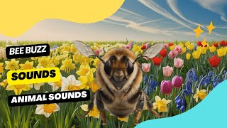 Honey Bee Buzz Sounds  Animation [upl. by Reedy]