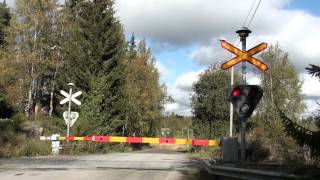 Steam train  Kärjenniemi level crossing [upl. by Truitt]