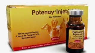 Potenay injetável em cães [upl. by Bonnes]