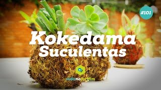 Como fazer e cuidar do Kokedama de Suculentas [upl. by Eekorehc572]