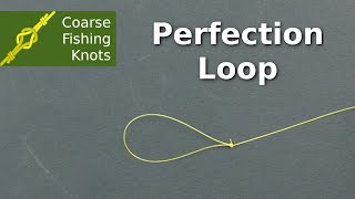 Perfection loop  How to tie [upl. by Llenrap937]