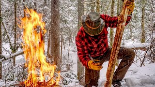 A Month in an Off Grid Log Cabin in the Wilderness with my Dog  January in Canada [upl. by Fredenburg]