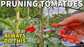 Prune ALL Of Your Tomato Plants Like This RIGHT NOW [upl. by Oulman219]