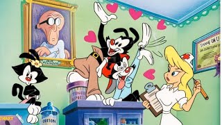 Animaniacs 1993  Helloooo Nurse Compilation  PampTB And Wakkos Wish [upl. by Burman444]