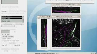 Simple Neurite Tracer  fitting centres and filling [upl. by Bissell]