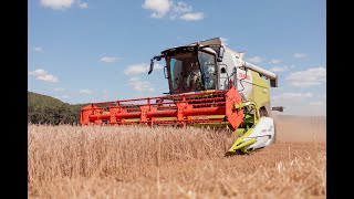 Žně 2024  CLAAS EVION 430  VARIO 620  Statek Peštík [upl. by Adeline581]