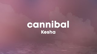 Kesha  Cannibal Lyrics [upl. by Liddie]