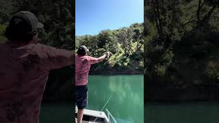 Fresh Fishing catch and Eagle feeding at Lake Shasta ParkFire [upl. by Ahsenaj]