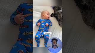 Cute stories about babies and dog 🥰 cute animalsforyou typ2pet cat dog [upl. by Emie]