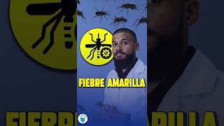 FIEBRE AMARILLA HOY latam doctor shorts yellowfever [upl. by Ancier785]