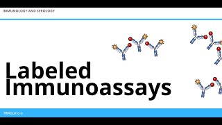 Labeled Immunoassays  An Overview [upl. by Ainezey]