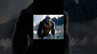 King Kong 2024🦍kingkonggorillagorillatagshortskongkingkongmovieanimalsanimeshortsfeedreel [upl. by Eilsel747]