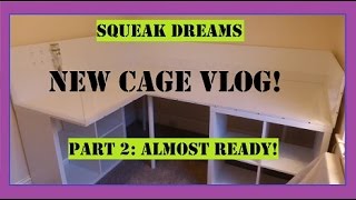 Squeak Dreams NEW CAGE VLOG Part 2 Almost Ready [upl. by Tench]