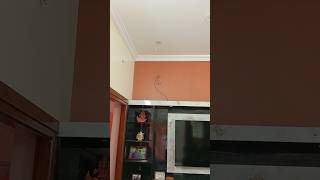 Fibre cable TV unit proper wiring problem solution Sri [upl. by Bronez]