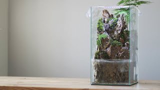 How to make a Paludarium Waterfall Nature Garden [upl. by Esom]