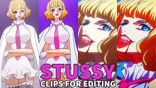 Stussy  One Piece  Clips For Editing  HIGH QUALITY  CC [upl. by Anaihsat204]