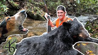 BEAR HUNTING with HOUNDS  North Ga Mountains [upl. by Aneger]