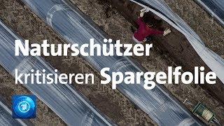 Ohne Folie spätere Ernte und Spargel teurer [upl. by Ainos]