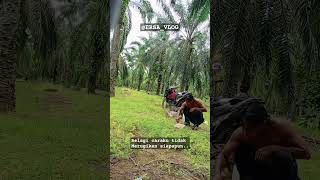 Prinsip hidupku shorts shortvideo shorsawitstory kutipanmotivasi kutipaninspirasi quotes [upl. by Nitsraek]