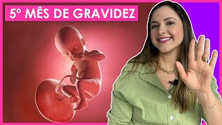 5 MESES DE GRAVIDEZ [upl. by Mario]