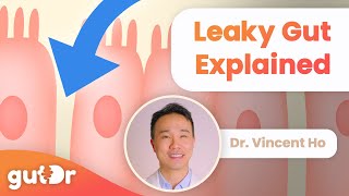 What is Leaky Gut  GutDr MiniExplainer [upl. by Calica]