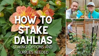 🌿 How to Stake Dahlias 🌿 [upl. by Richia]